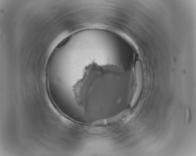 X0000072971007200608111711