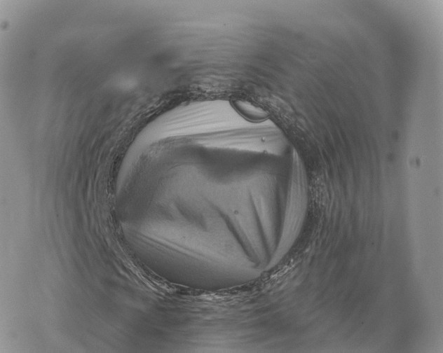 X0000072971009200608111710