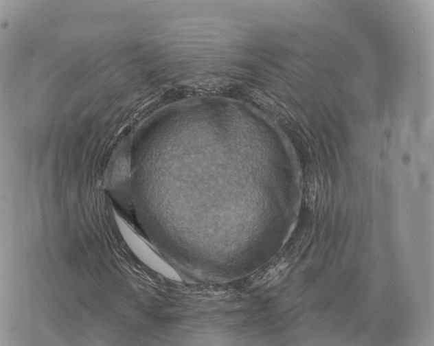 X0000072971010200608111710