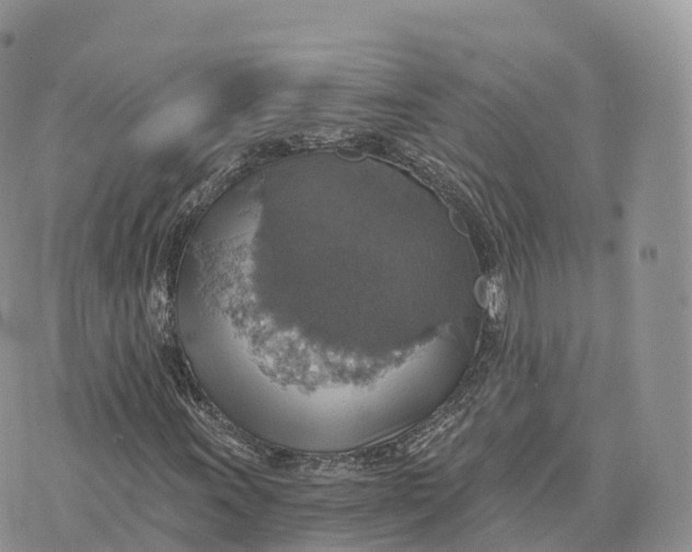 X0000072971011200608111710