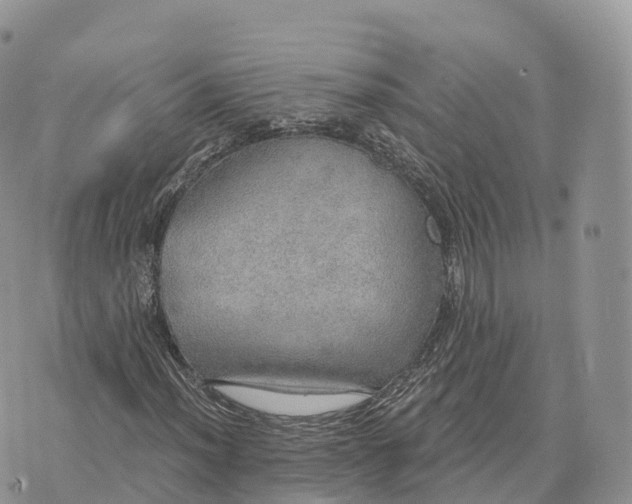 X0000072971012200608111710