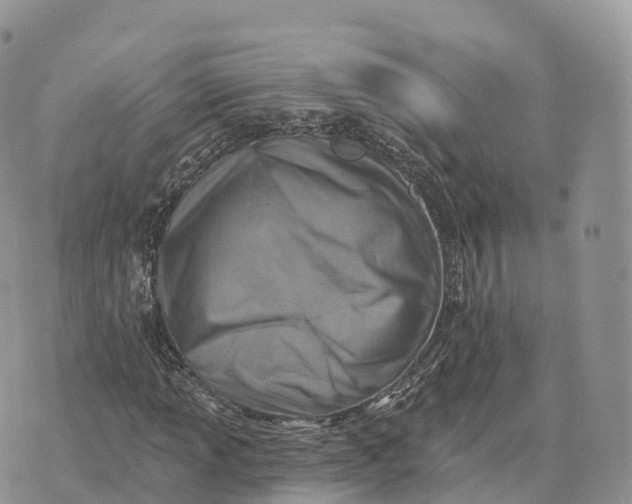 X0000072971013200608111710