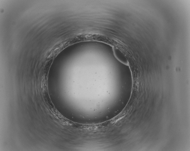 X0000072971014200608111710