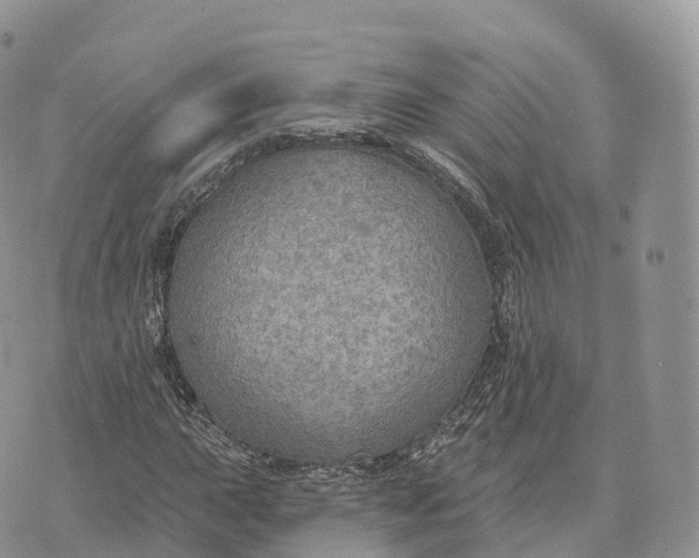 X0000072971015200608111710