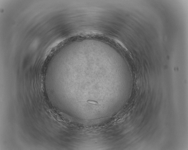 X0000072971016200608111710