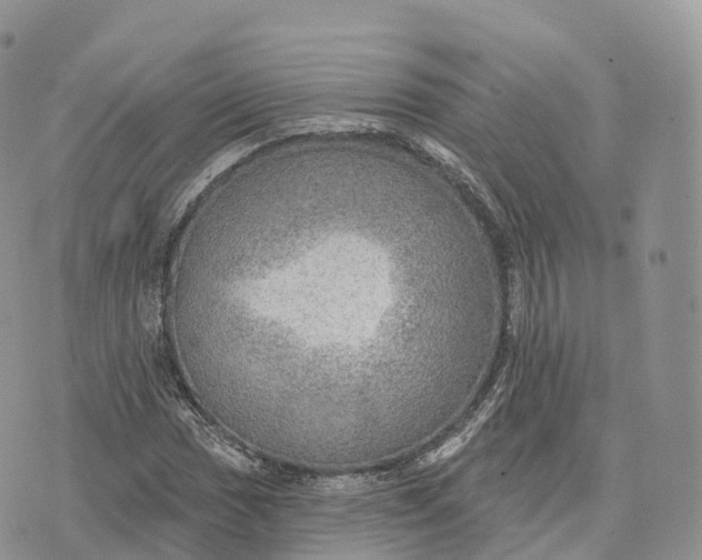 X0000072971017200608111710