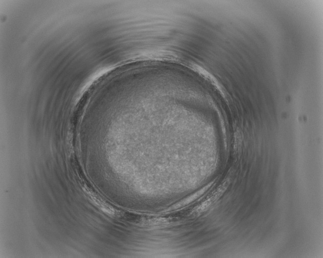 X0000072971019200608111711