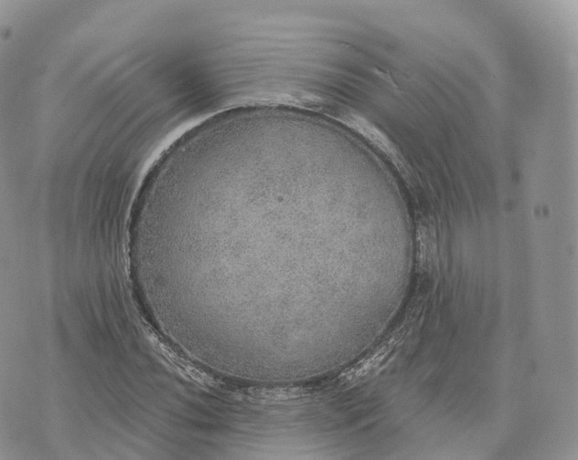 X0000072971020200608111711