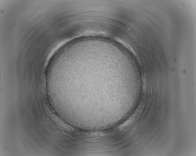 X0000072971021200608111711