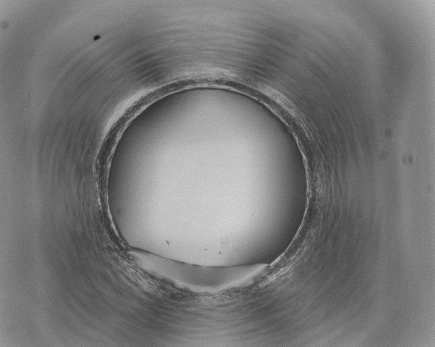 X0000072971022200608111711