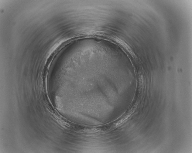 X0000072971023200608111711