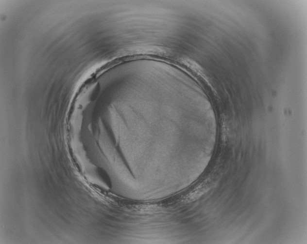 X0000072971024200608111711