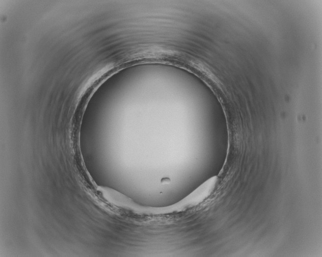 X0000072971026200608111711