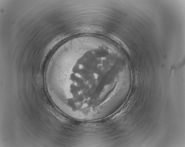 X0000072971027200608111711