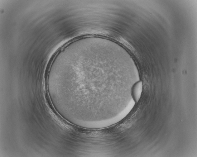 X0000072971028200608111711