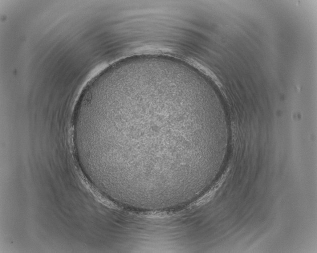 X0000072971029200608111711