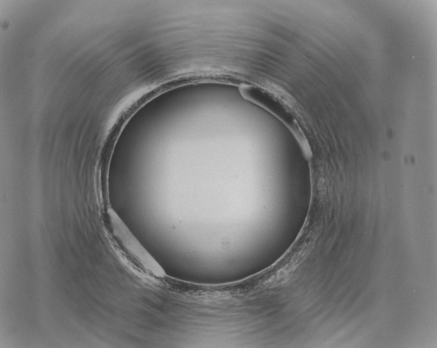 X0000072971030200608111711