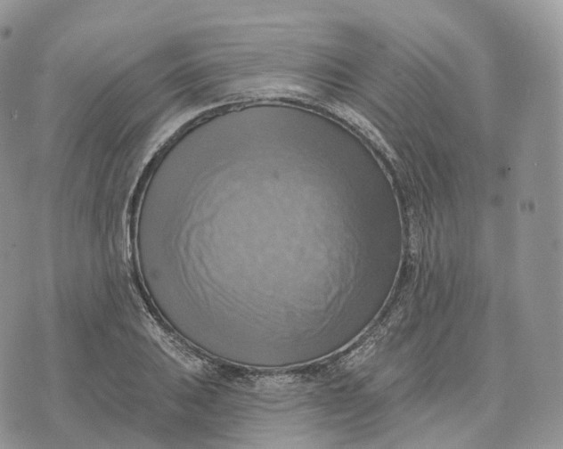 X0000072971031200608111711