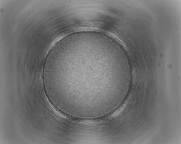 X0000072971033200608111711