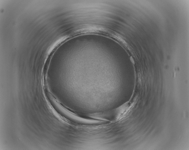 X0000072971034200608111711