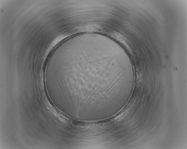 X0000072971035200608111711