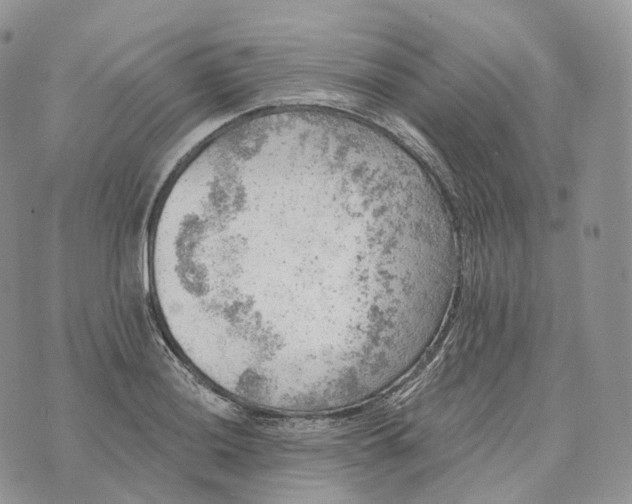 X0000072971036200608111711