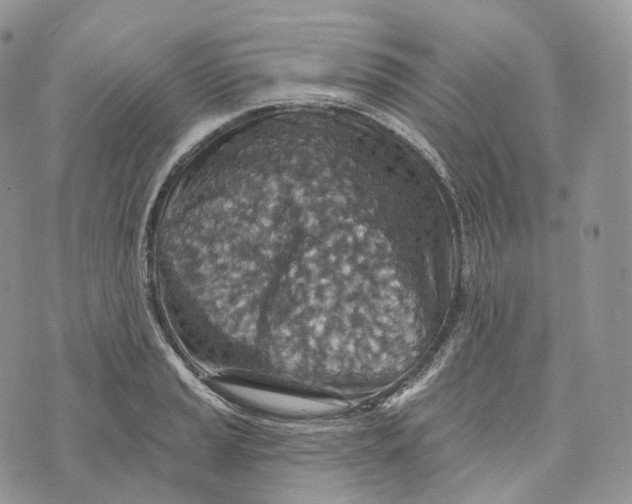 X0000072971037200608111711