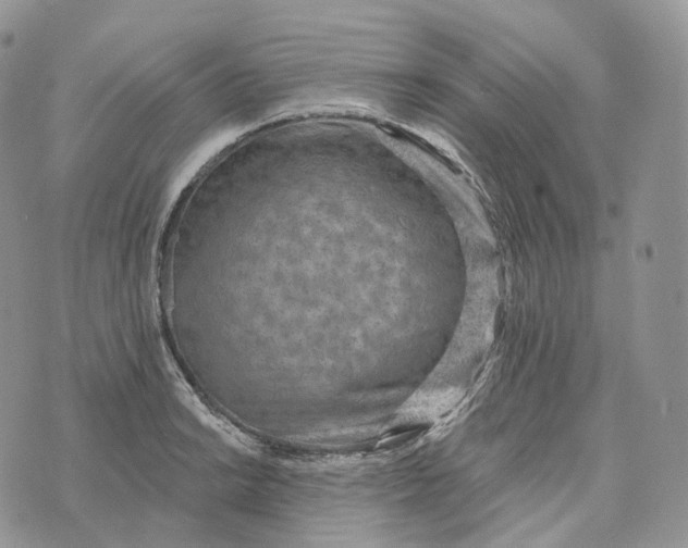 X0000072971038200608111711