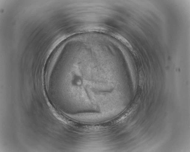 X0000072971039200608111711