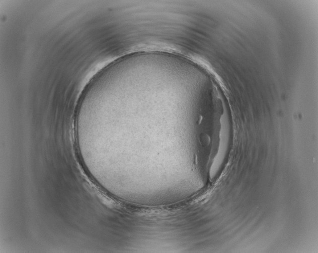 X0000072971040200608111711