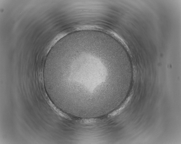 X0000072971041200608111711