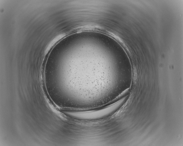 X0000072971042200608111711