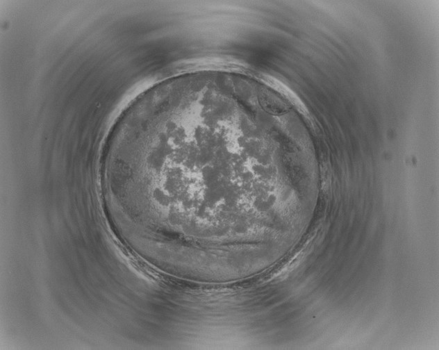 X0000072971043200608111711