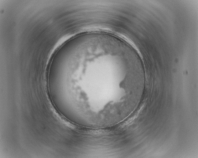 X0000072971045200608111711