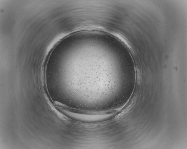 X0000072971046200608111711