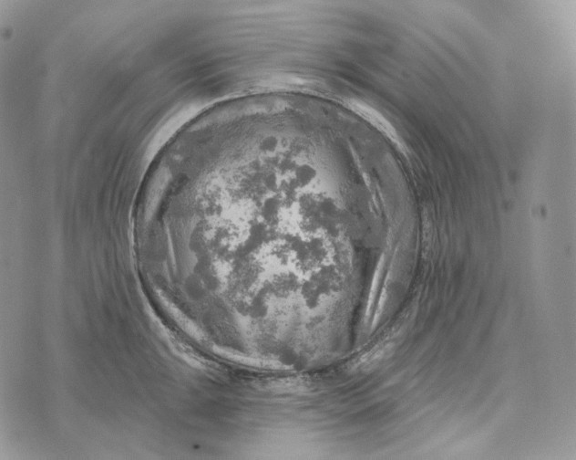 X0000072971047200608111711