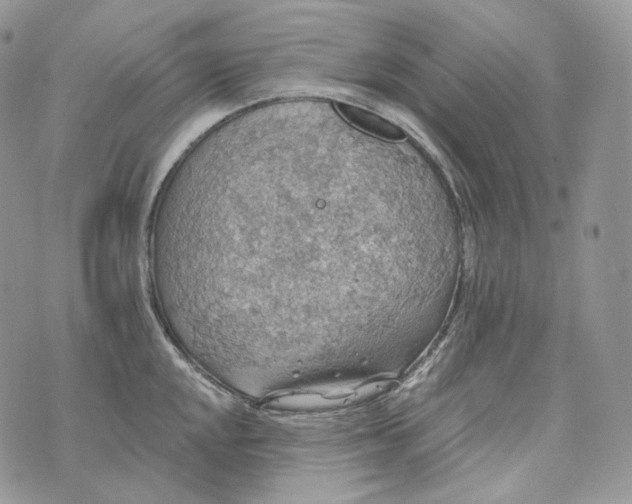 X0000072971048200608111711