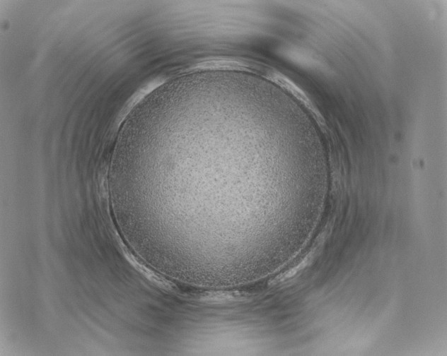 X0000072971049200608111711