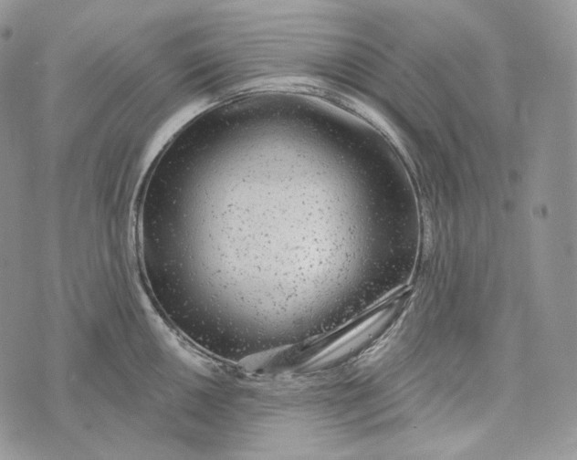 X0000072971050200608111711