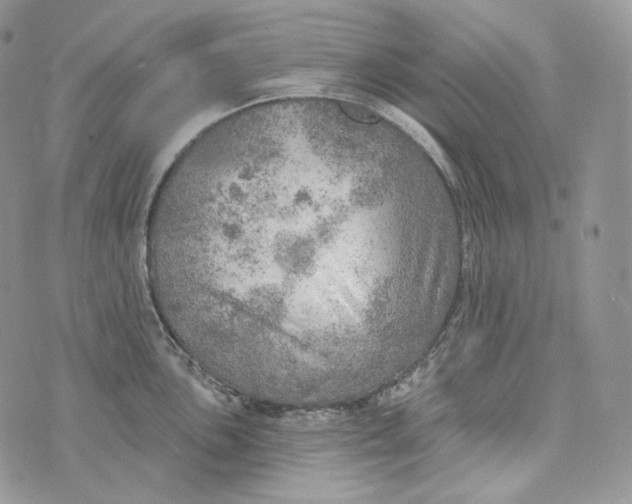 X0000072971051200608111711