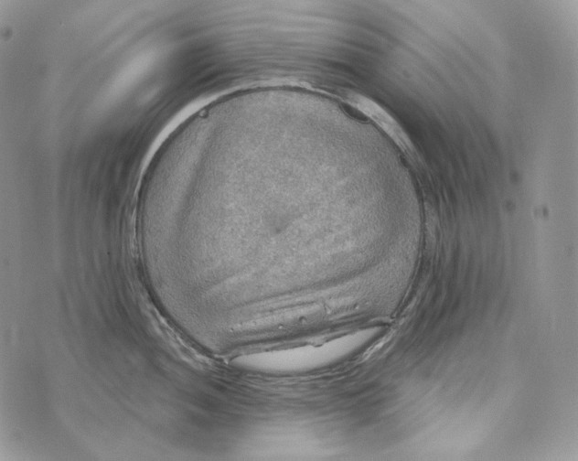 X0000072971052200608111711