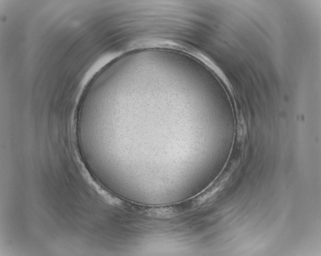 X0000072971053200608111711