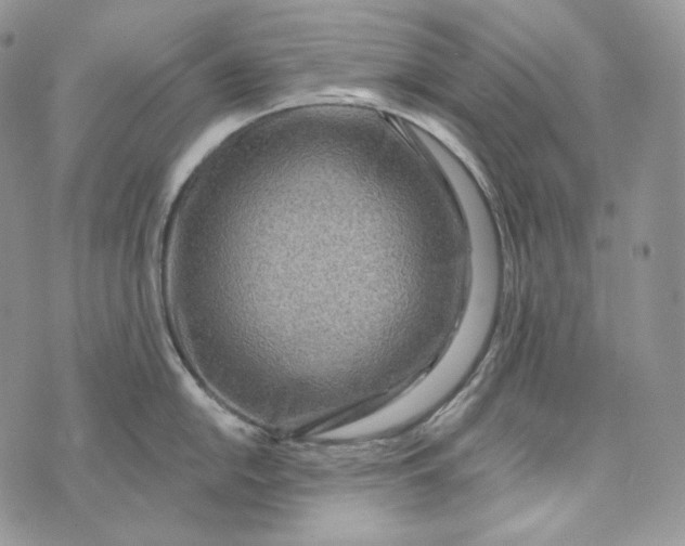 X0000072971054200608111711