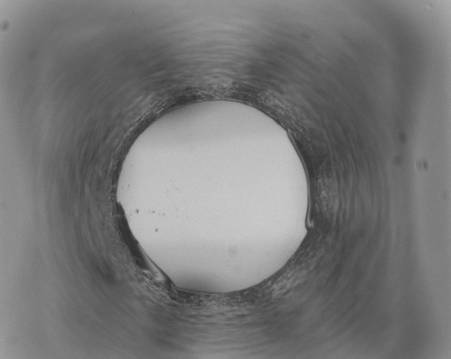 X0000072971057200608111710