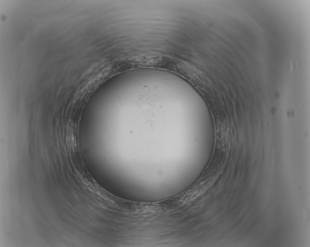 X0000072971058200608111710