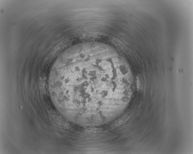 X0000072971059200608111710