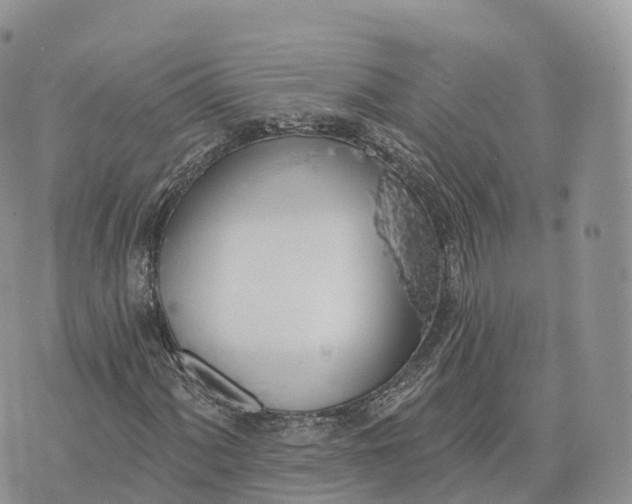 X0000072971060200608111710