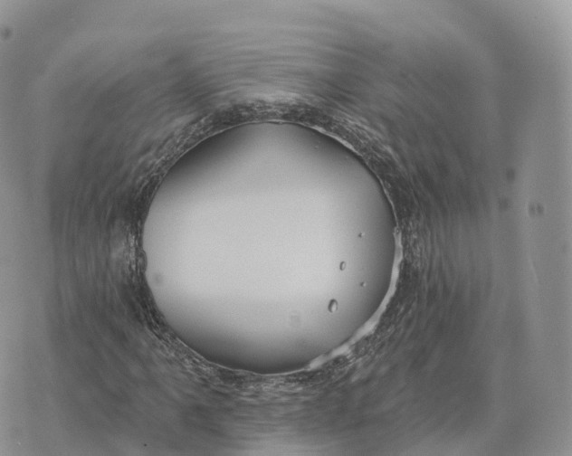 X0000072971061200608111710