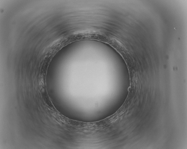 X0000072971062200608111710