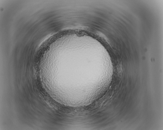 X0000072971064200608111710